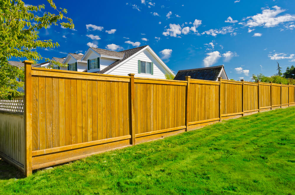 Cedar Privacy Backyard Fence