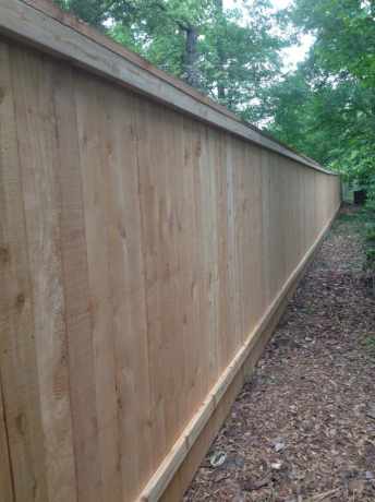 Tall privacy fence along a wooded back property line