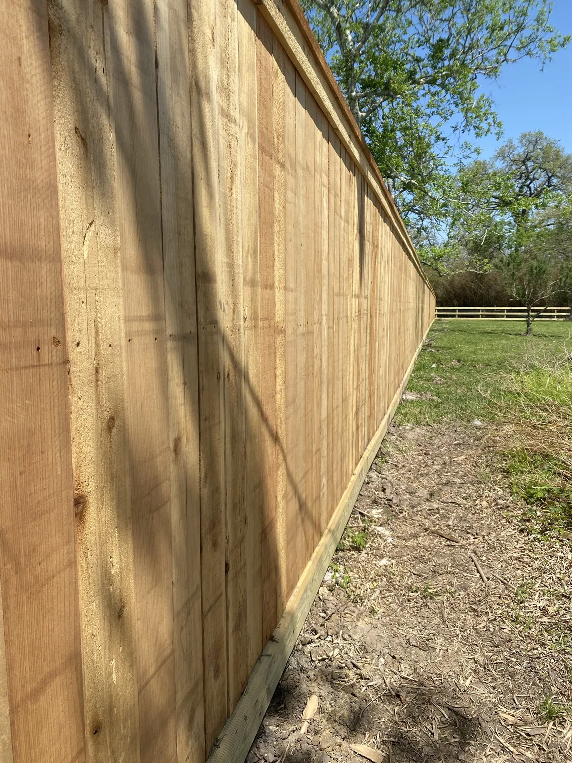 Cedar privacy fence running along a property line