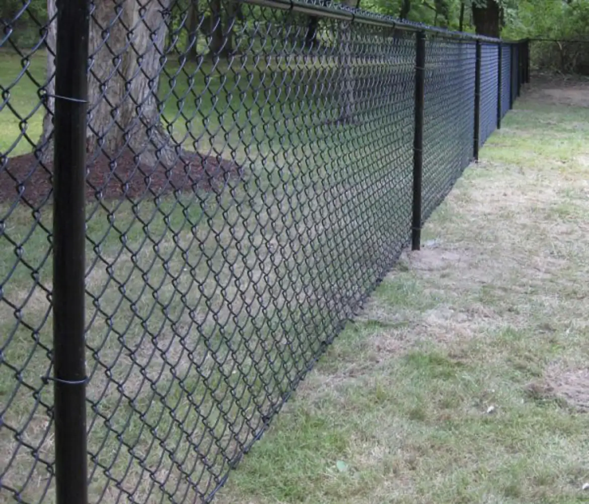 Black chain link fence along a tree line