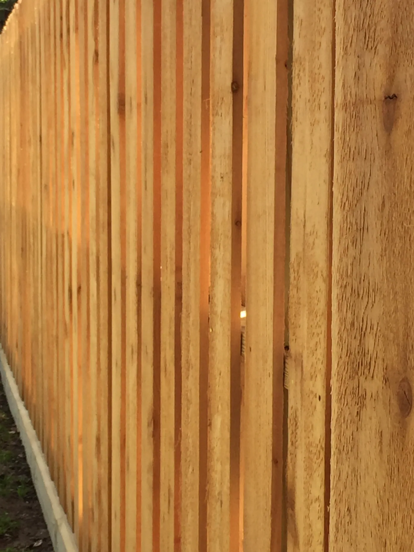 Close view of cedar fence boards