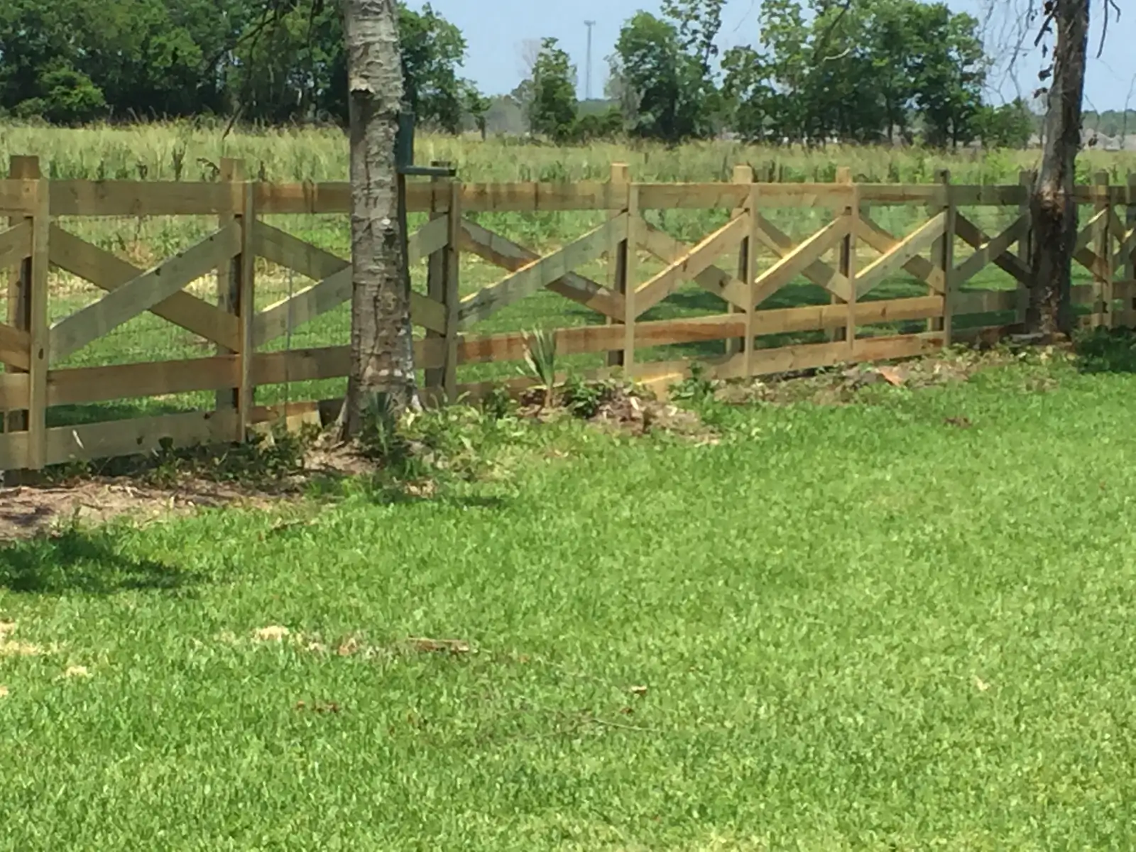 Cross buck ranch fence along a pasture line