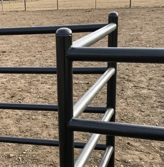 Black pipe fence with round rail bracing along a dirt corral