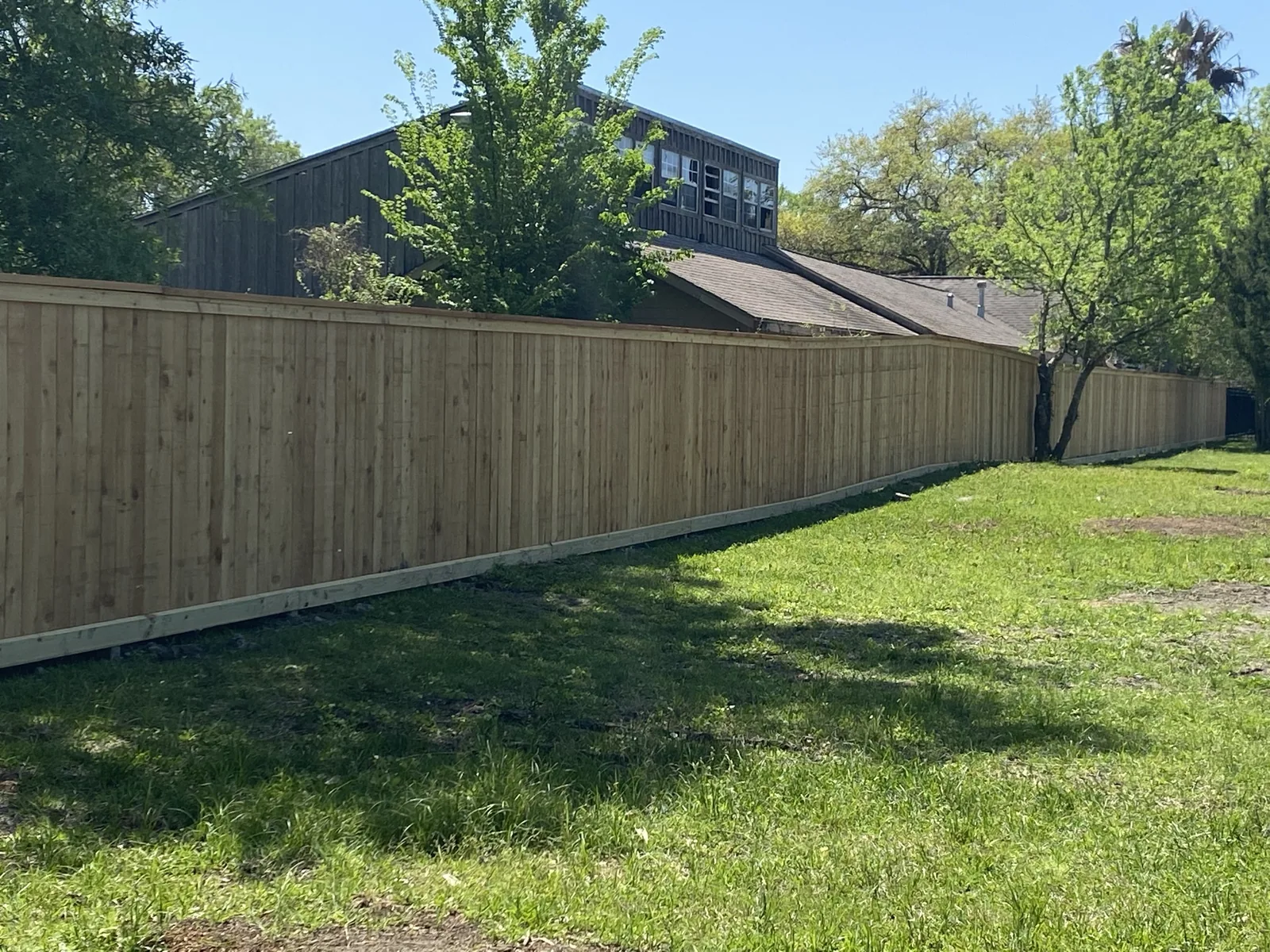 Cedar privacy fence across the back of a lawn